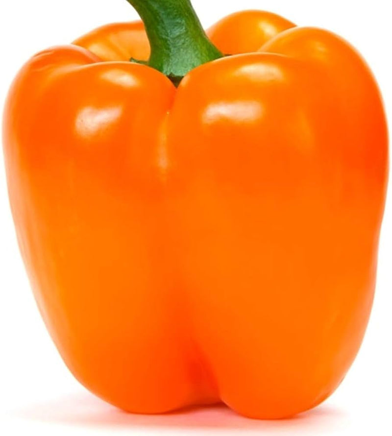 Orange Pepper Seeds for Planting – Heirloom Non-GMO Garden Seeds