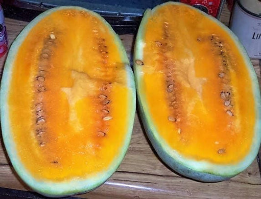 Tendersweet Orange Watermelon Growing on Garden Vines
