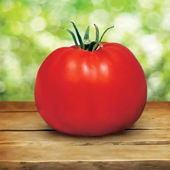 Classic Tomato Vegetable Seeds for Planting – Heirloom Non-GMO Garden Seeds