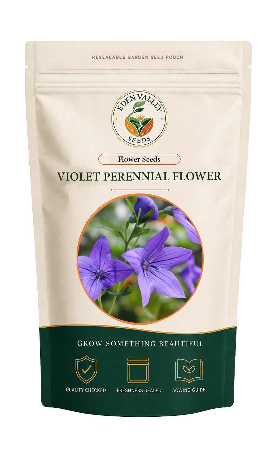 Violet Perennial Flower Seeds for planting