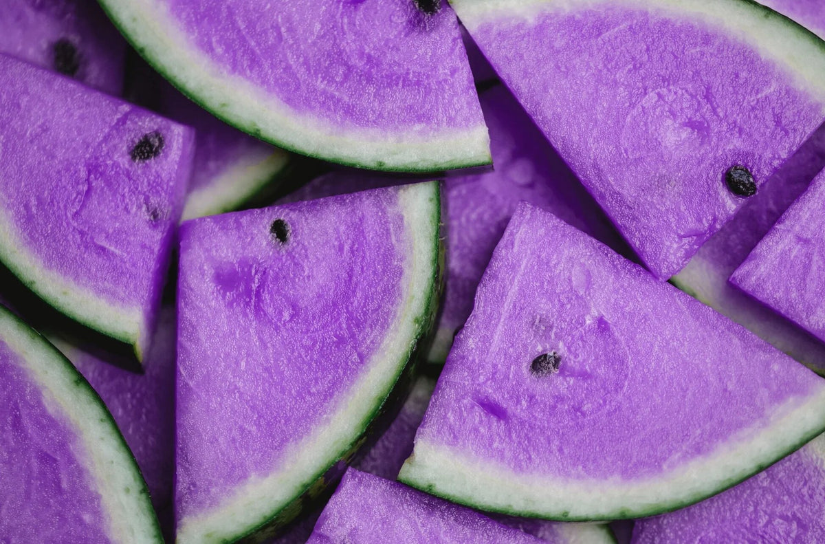 Violet Watermelon fruit growing on healthy trailing vines in a sunny home garden