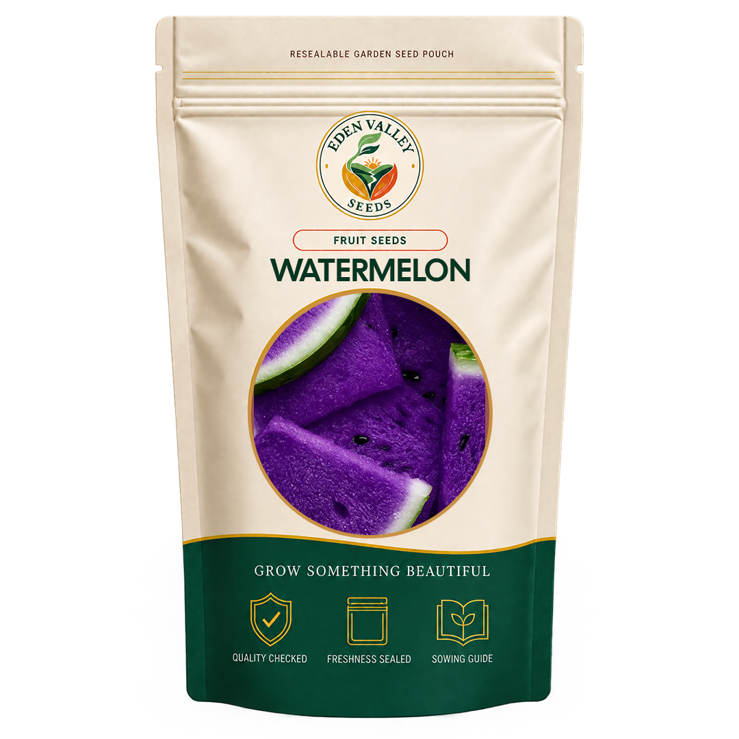 Violet Watermelon Seeds for home gardens