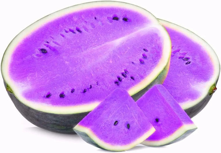 Violet Watermelon fruit growing on healthy trailing vines in a sunny home garden