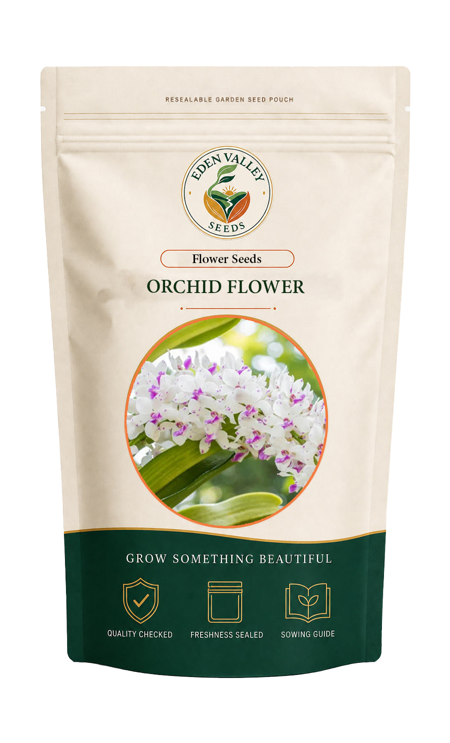 White Purple Phalaenopsis Orchid Flower Seeds for planting