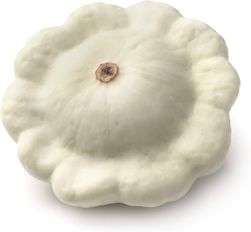 White Patisson Squash Seeds for Planting – Heirloom Non-GMO Garden Seeds