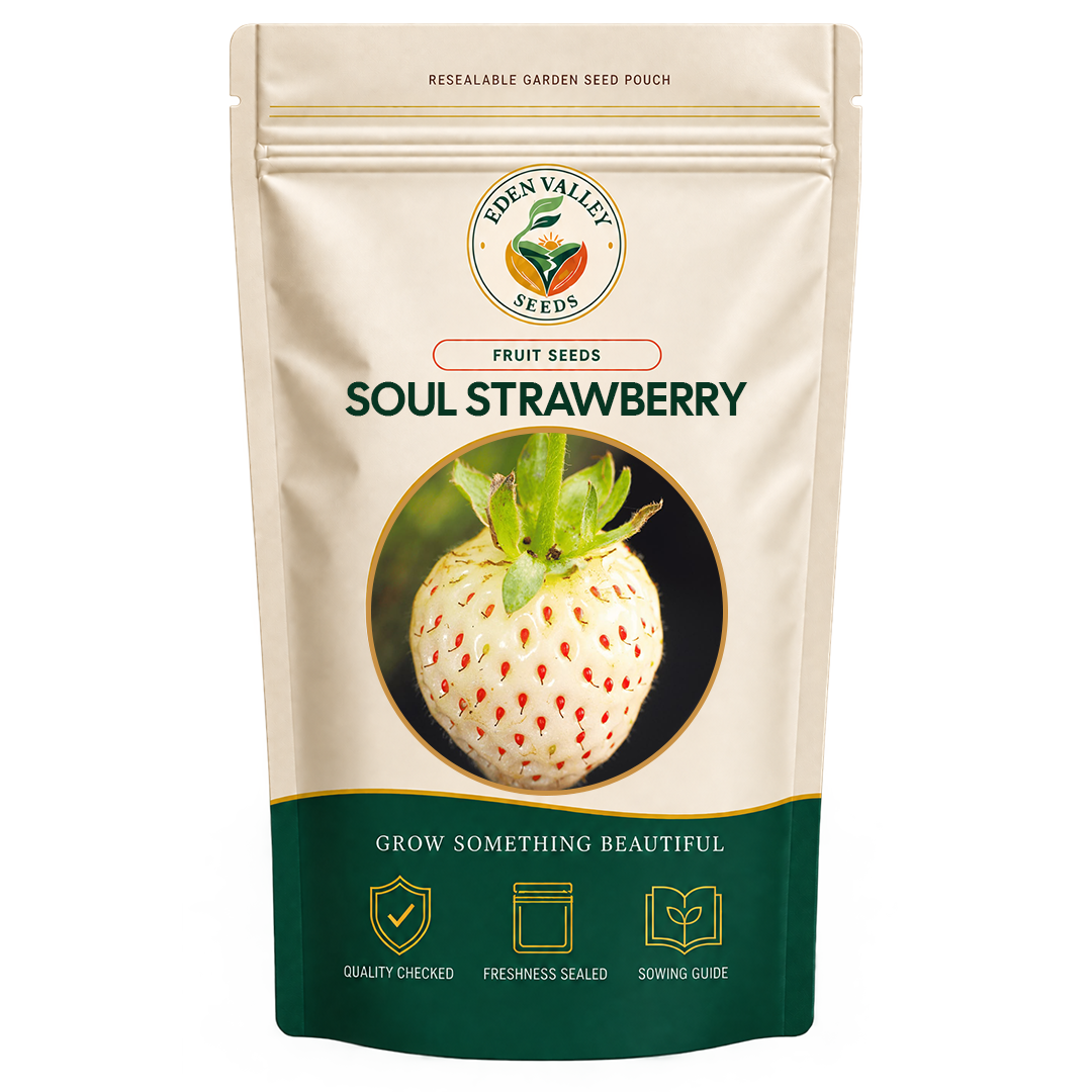 White Soul Strawberry plants growing in a garden