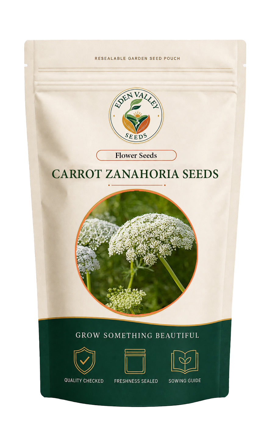 Wild Carrot Zanahoria Seeds for Planting – Heirloom Non-GMO Garden Seeds