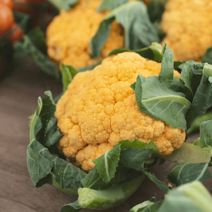 Yellow Broccoli Seeds for Planting – Vegetable Garden Seeds
