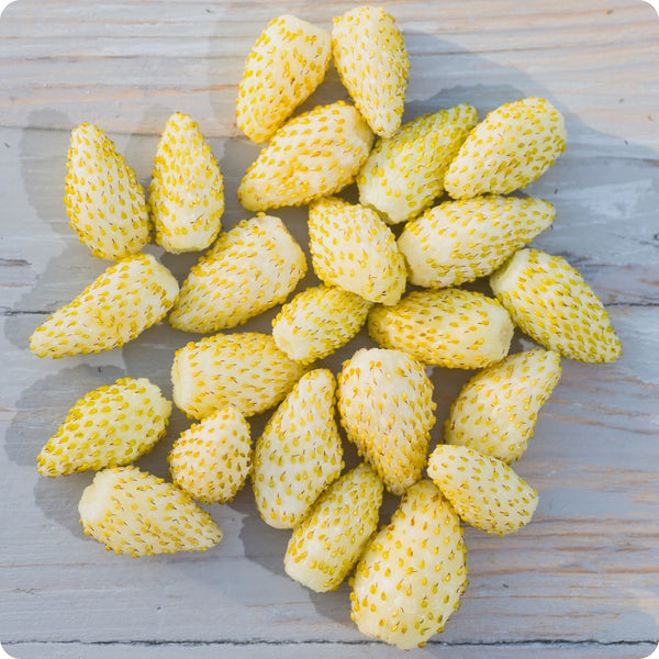 yellow wonder strawberry seeds