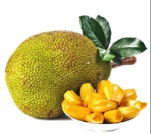 yellowgreen jackfruit seeds