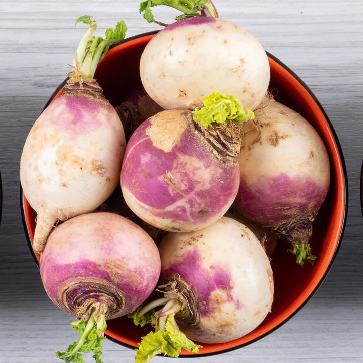 Watermelon Radish Seeds
