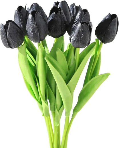 Black Tulip flower seeds