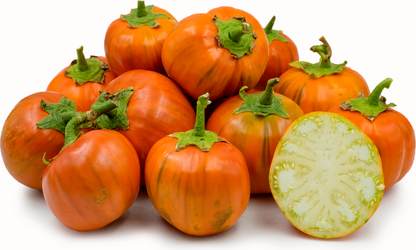 Orange Eggplant Vegetable Seeds for Planting – Heirloom Non-GMO Garden Seeds