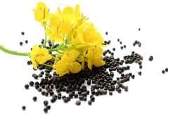 Canola flower seeds