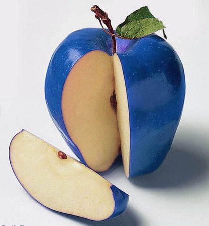 Blue Apple Fruit Seeds for Planting – Heirloom Non-GMO Garden Seeds