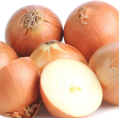 Brown Onion Vegetable Seeds for Planting – Bulb Onion Seeds for Home Vegetable Gardens