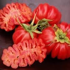 Zapotec Tomato Seeds for Planting – Heirloom Non-GMO Garden Seeds