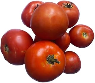 Homestead Garden Tomato Vegetable Seeds for Planting – Heirloom Non-GMO Garden Seeds