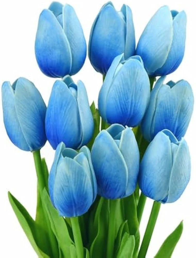 Sky Blue flower seeds