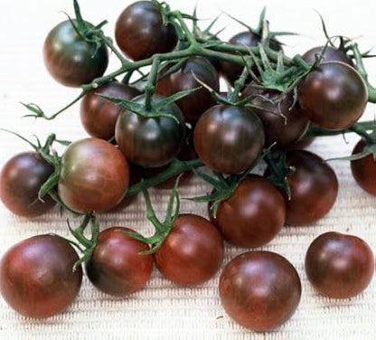 Black Cherry Tomato Seeds