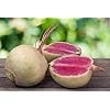 Easter Egg Radish Seeds for Planting – Heirloom Non-GMO Garden Seeds