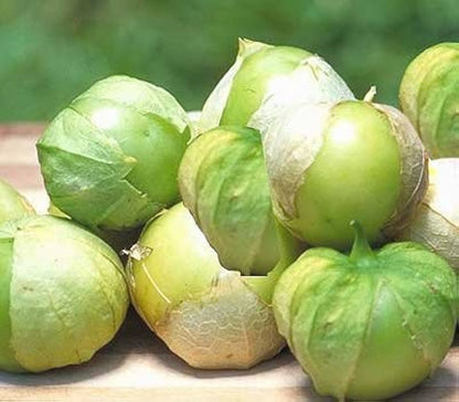 Toma Verde Tomatillo Vegetable Seeds for Planting – Heirloom Non-GMO Garden Seeds