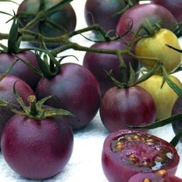 Purple Tomato Seeds
