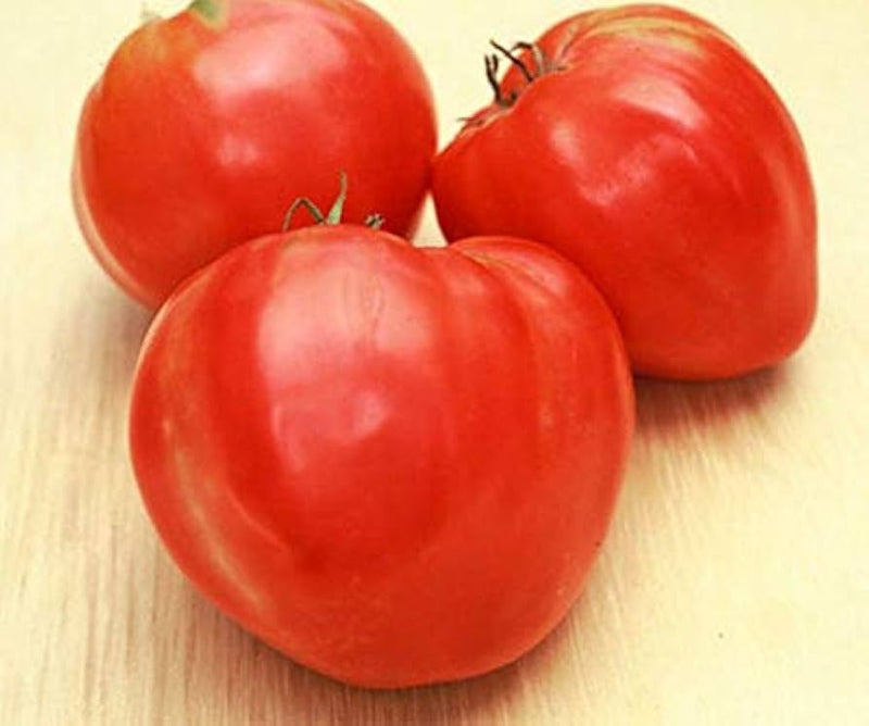 Oxheart Tomato Vegetable Seeds for Planting – Heirloom Non-GMO Garden Seeds