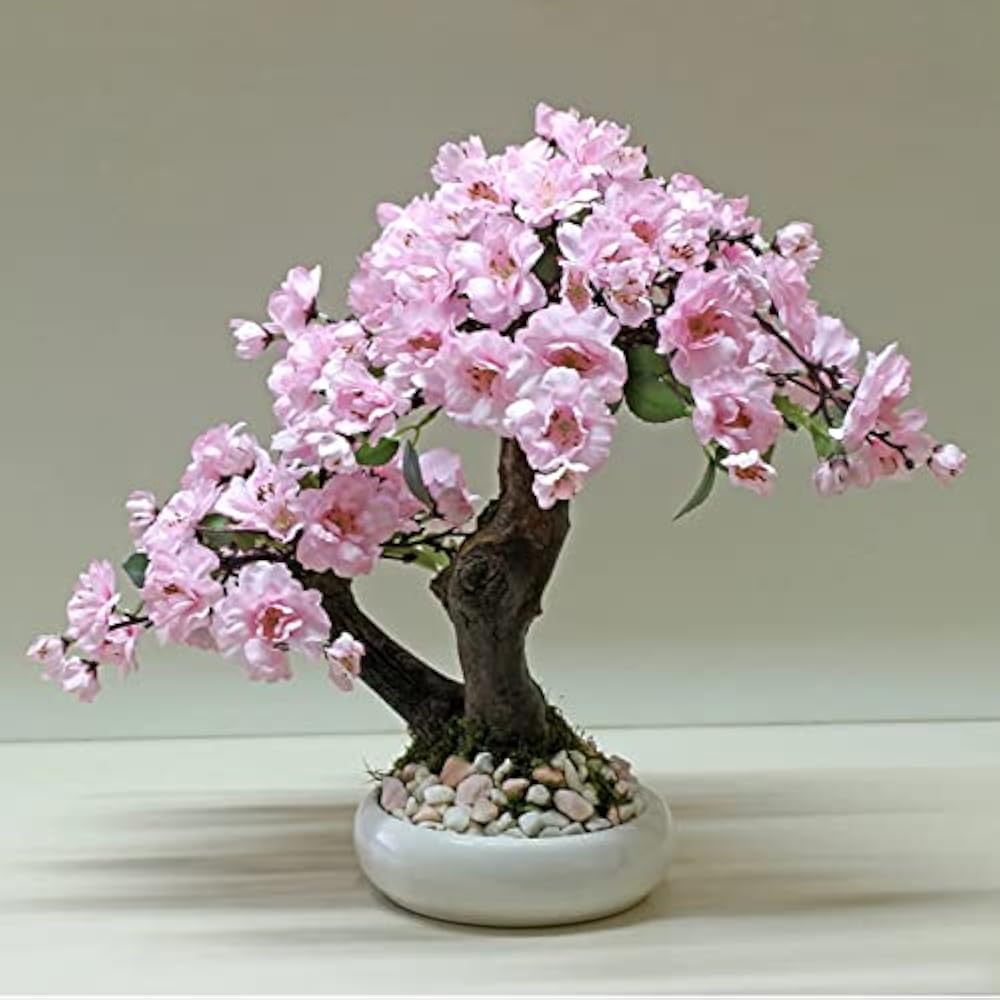 Light Pink flower seeds