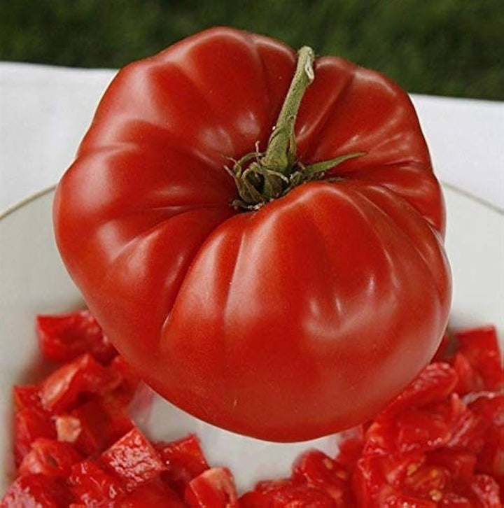Aussie Tomato Paste Seeds