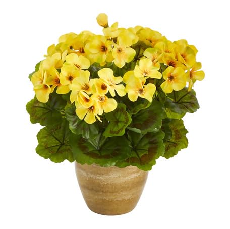 Yellow Geranium Flower - Heirloom, Non - Gmo Seeds