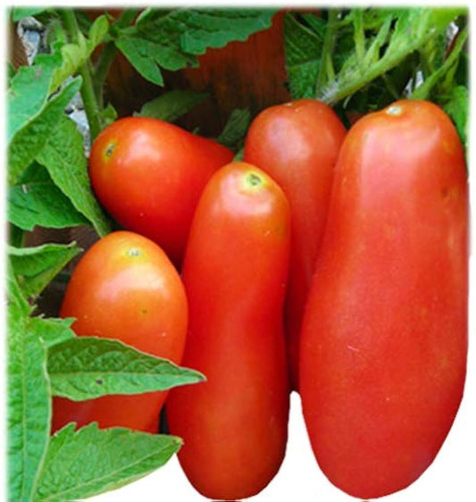 Banana Tomato Seeds
