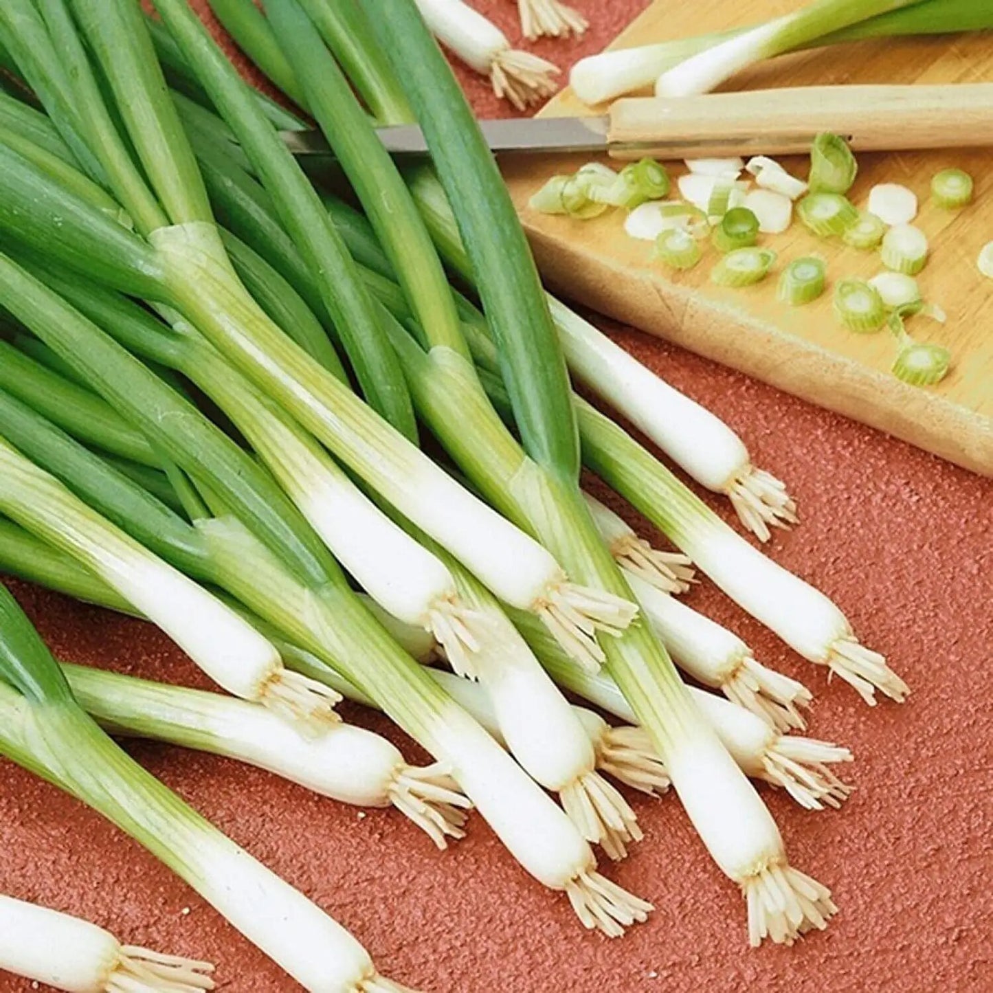 Welsh Onion Seeds for Planting – Bunching Green Onion Seeds for Home Vegetable Gardens