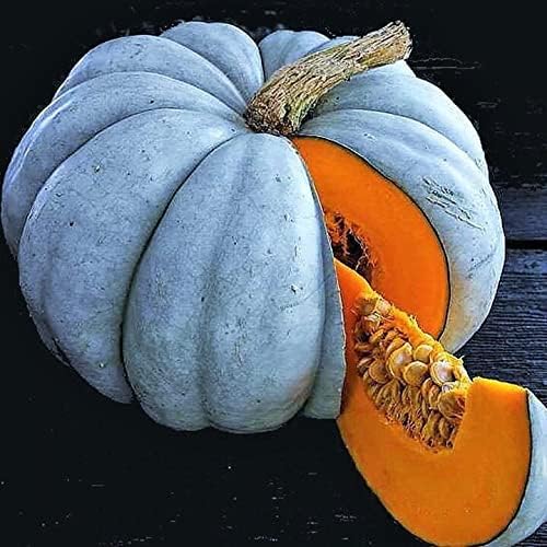 Jarrahdale Pumpkin Seeds for Planting – Heirloom Non-GMO Garden Seeds
