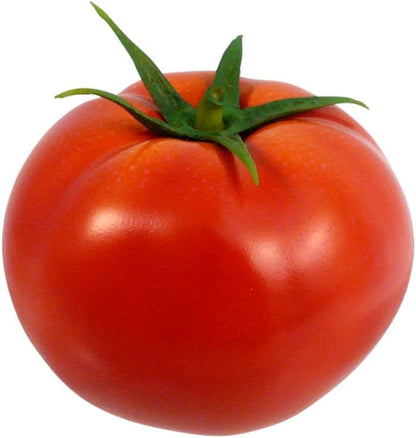 Homestead Heirloom Tomato Vegetable Seeds for Planting – Heirloom Non-GMO Garden Seeds