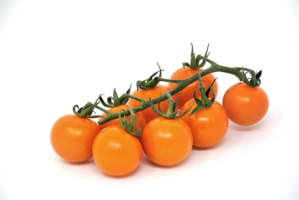 orange tomato seeds