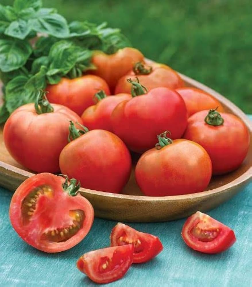 moonglow tomato seeds