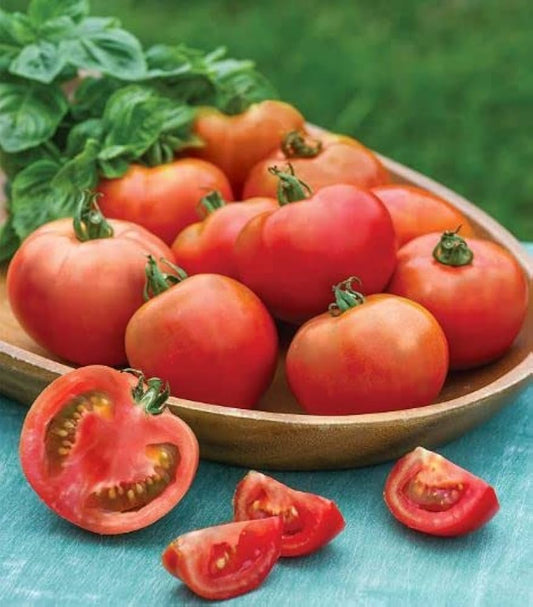 moonglow tomato seeds