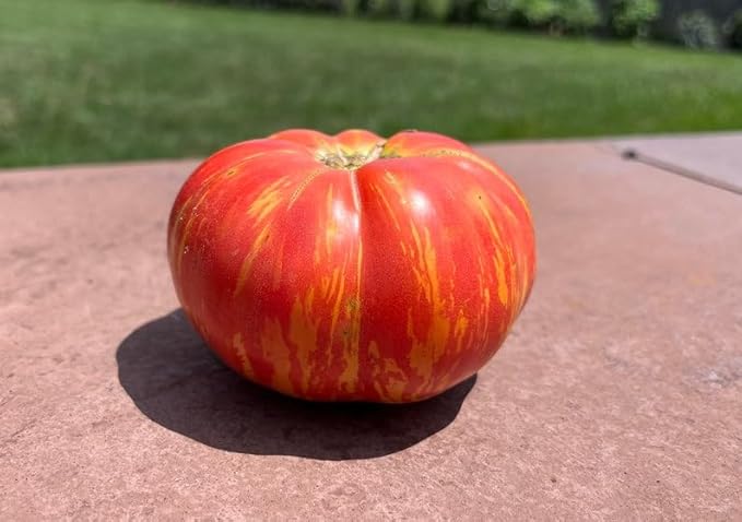 Striped Tomato Seeds for Planting – Heirloom Non-GMO Garden Seeds