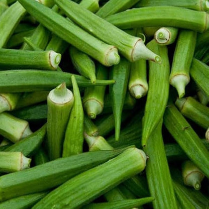 Clemson Spineless Okra Seeds