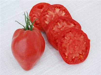oxheart tomato seeds