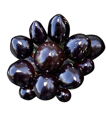 Hawk Ornamental Pepper plant