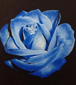 Light Blue flower seeds