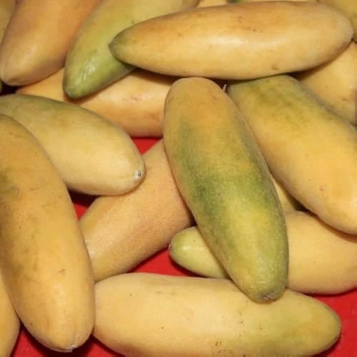 banana passion seeds