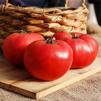 Red Rose Tomato Vegetable Seeds for Planting – Heirloom Non-GMO Garden Seeds