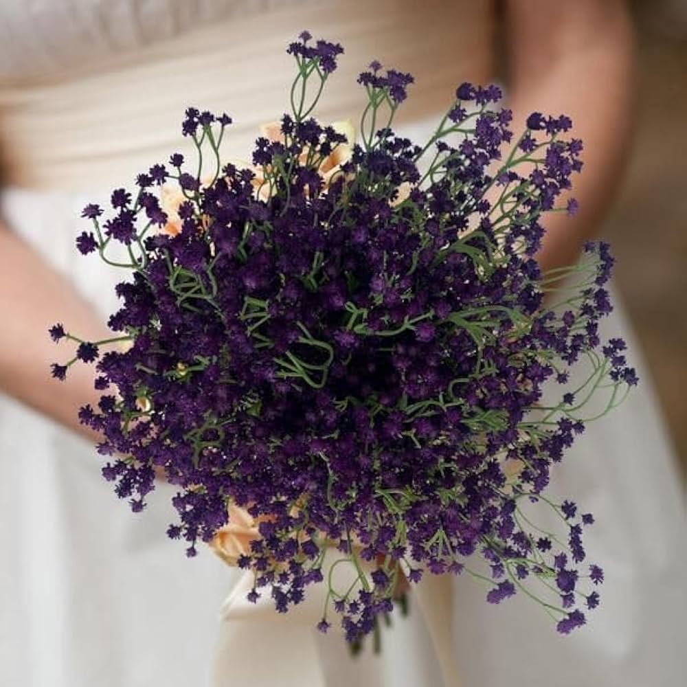 Dark Purple flower seeds