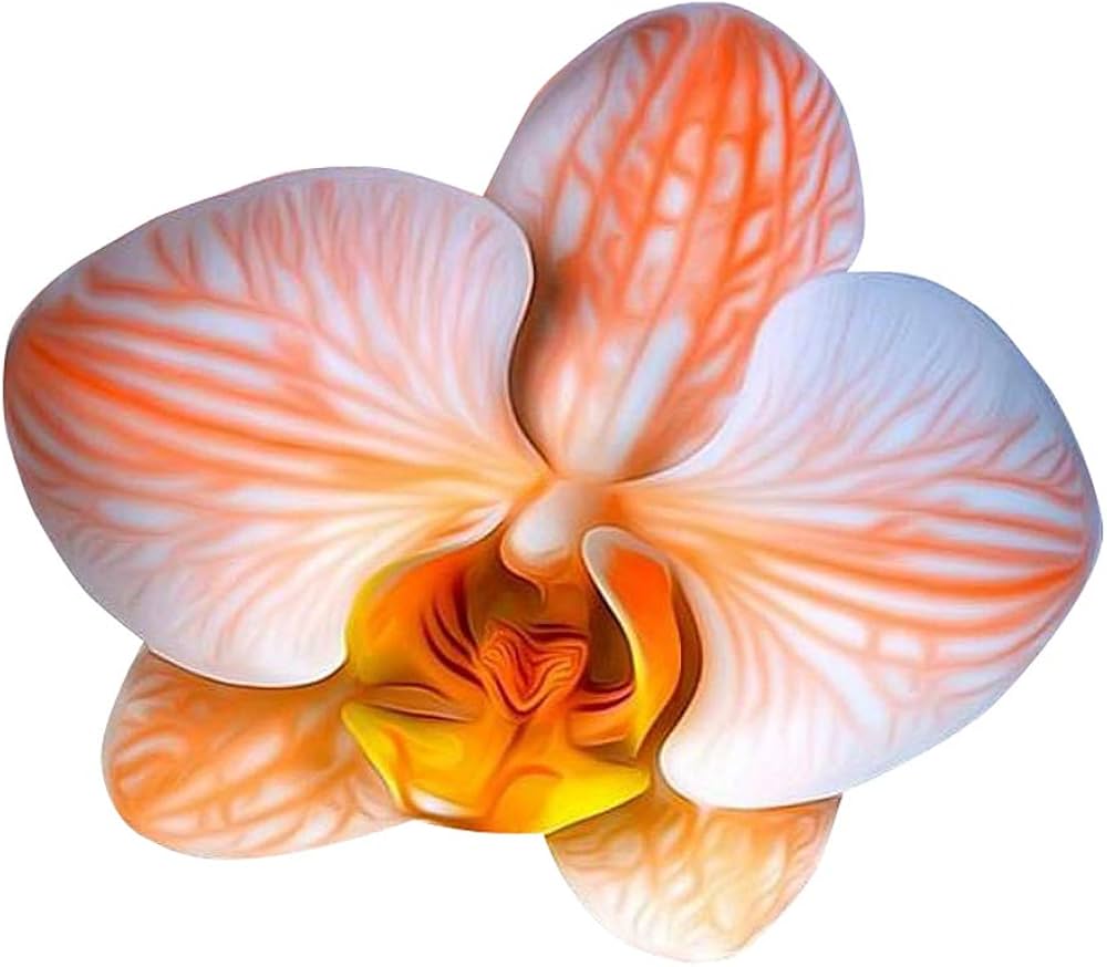 Orange White flower seeds