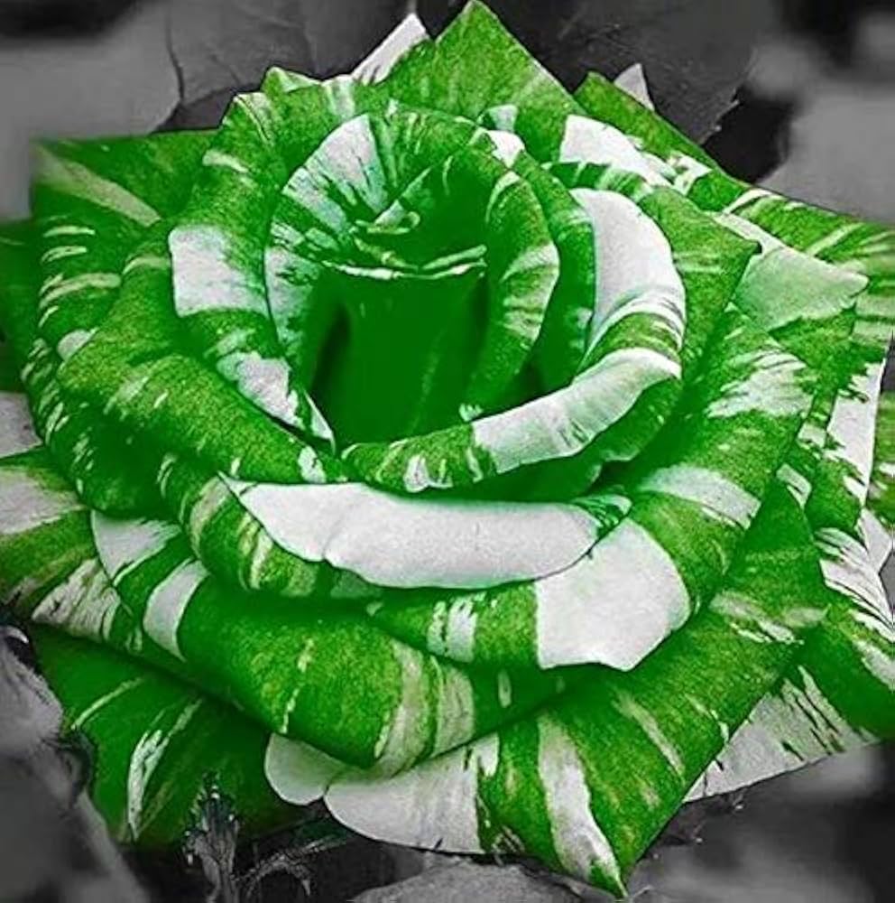White Green flower seeds