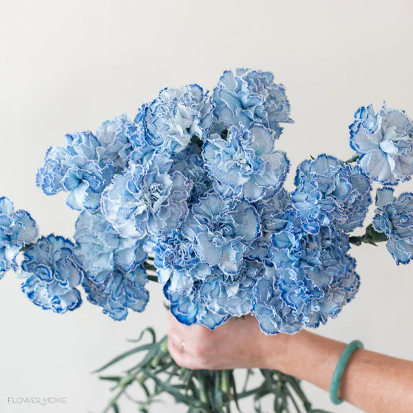Sky Blue flower seeds