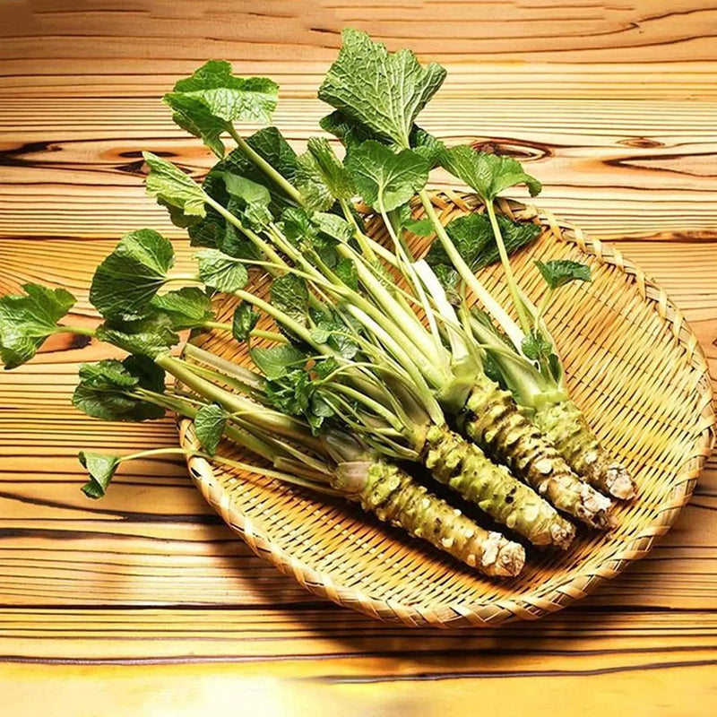 Horseradish Seeds for Planting – Heirloom Non-GMO Garden Seeds